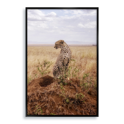 Cruel Suitor - Fine Art Print in Floating Frame