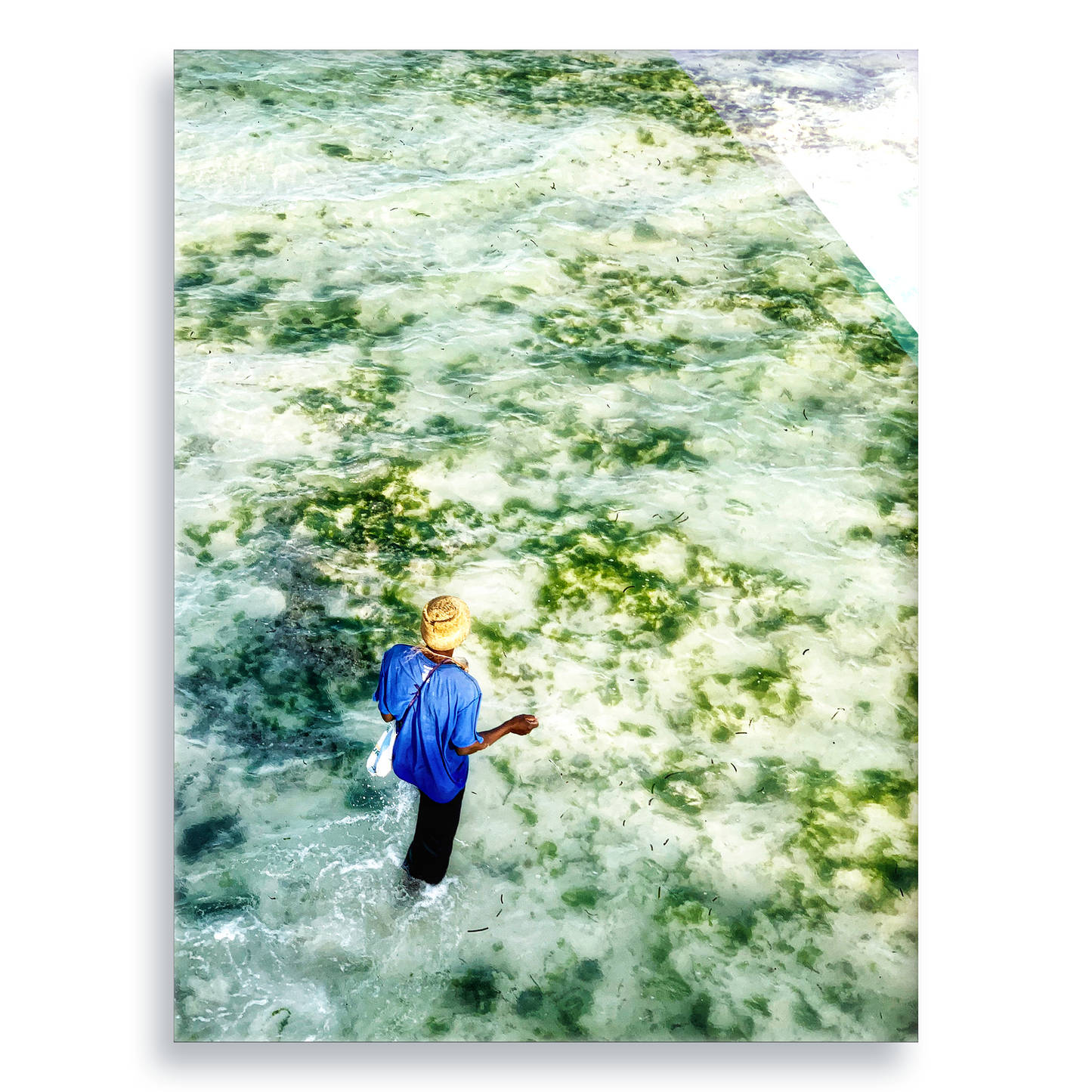 Gifts of The Tide - Acrylic Print
