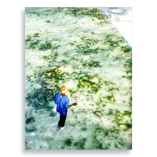 Gifts of The Tide - Acrylic Print