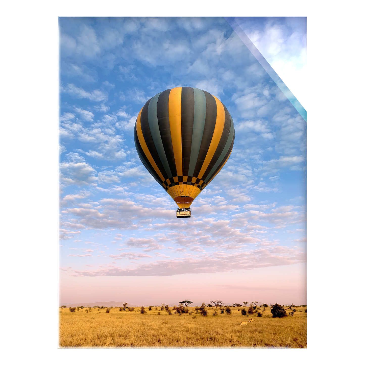 The Weightless and the Wild - Acrylic Print