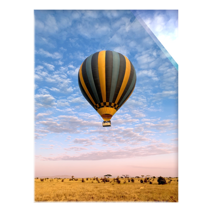 The Weightless and the Wild - Acrylic Print