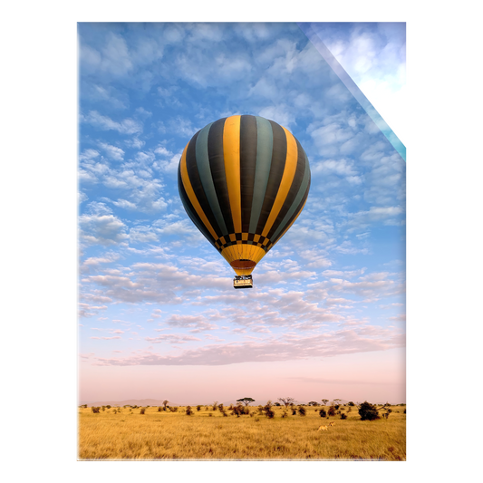The Weightless and the Wild - Acrylic Print