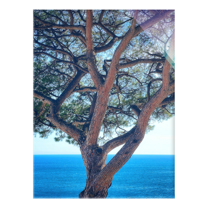 The Sentinel - Acrylic Print