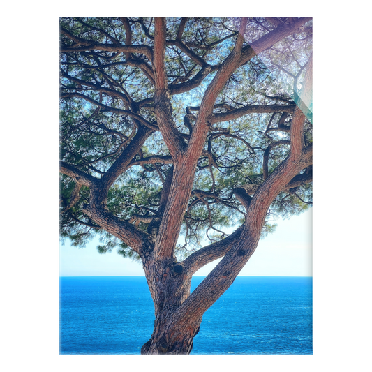 The Sentinel - Acrylic Print