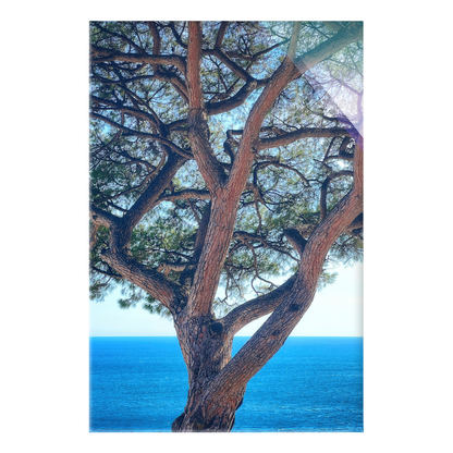 The Sentinel - Acrylic Print