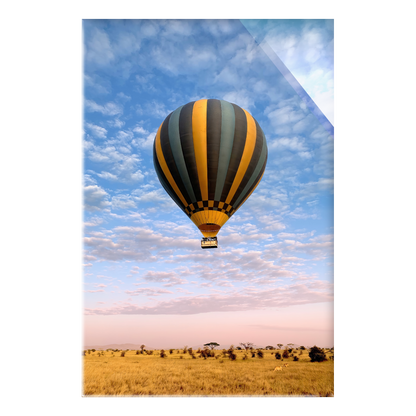 The Weightless and the Wild - Acrylic Print