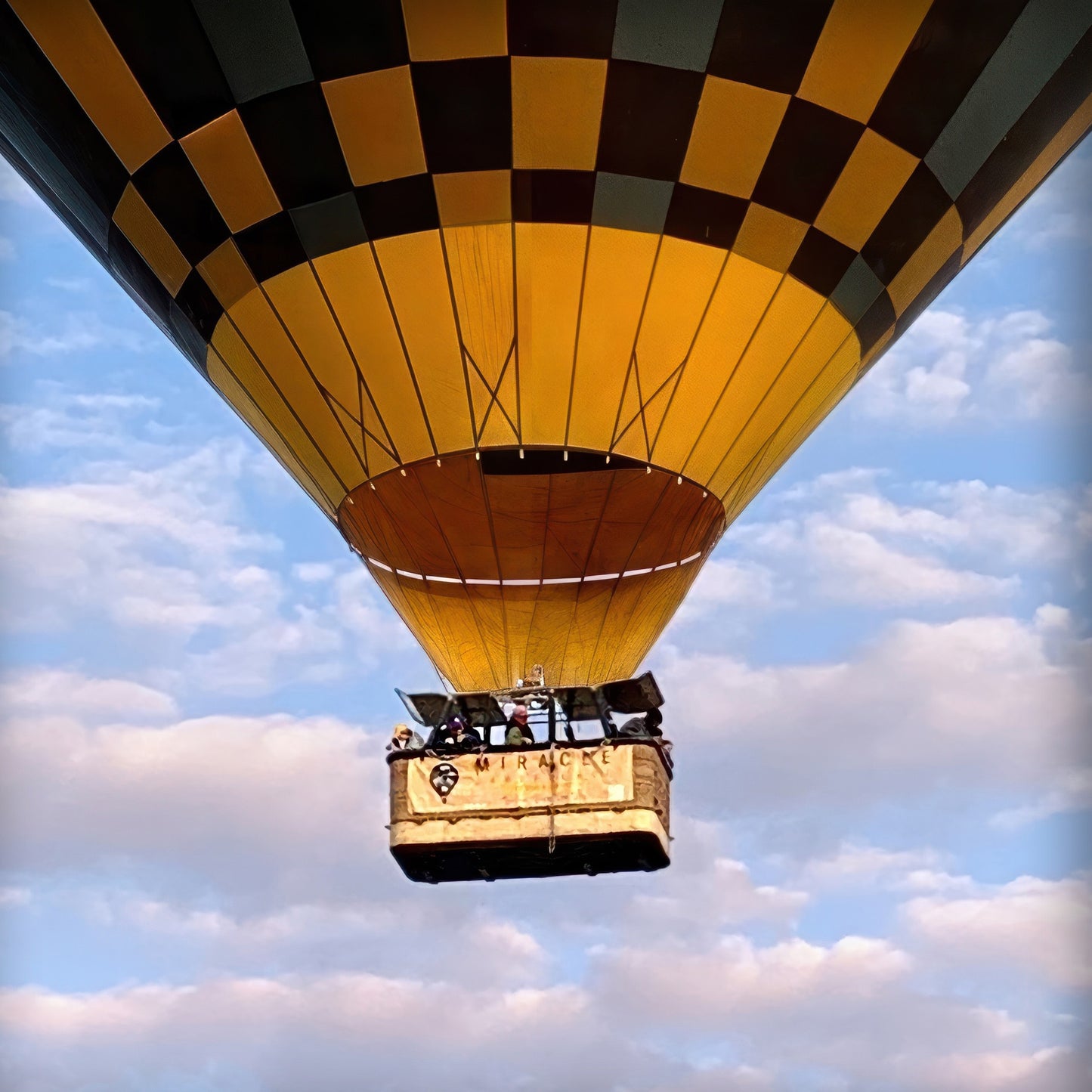 The Weightless and the Wild - Acrylic Print