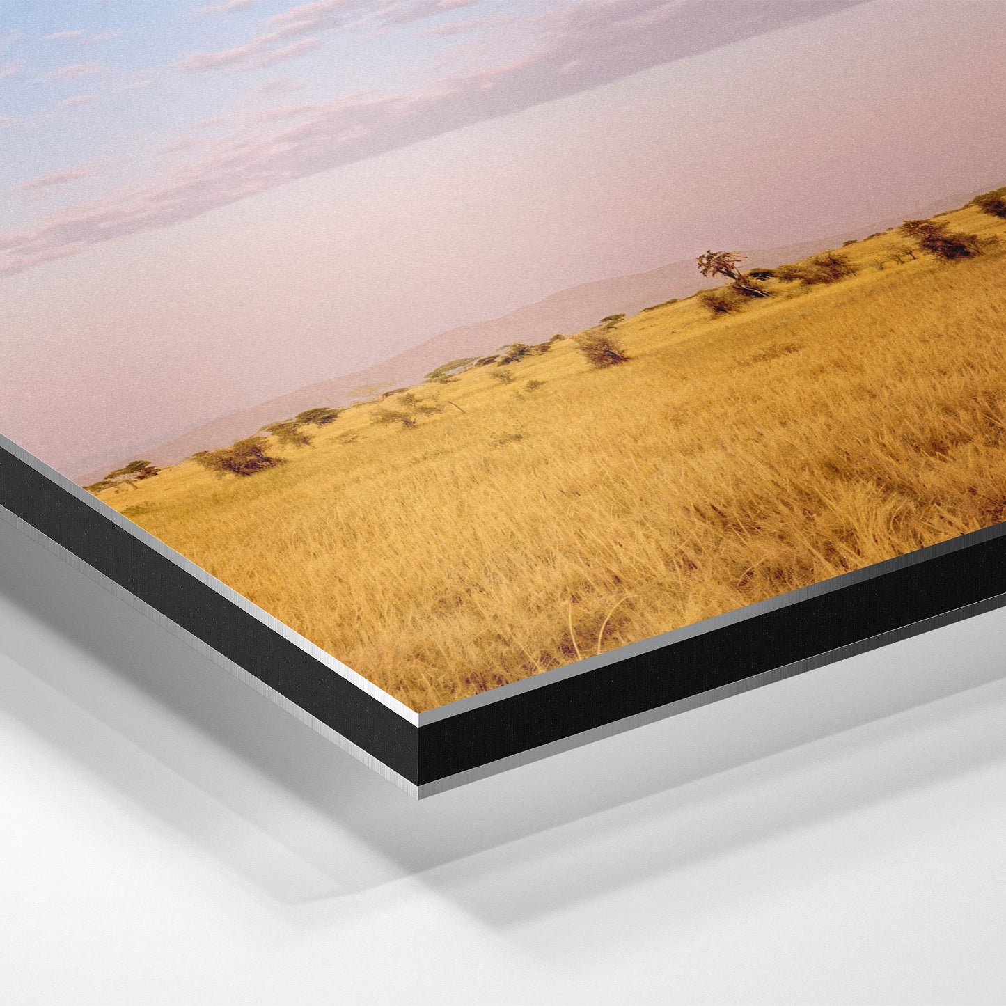 The Weightless and the Wild - Aluminium Dibond Print