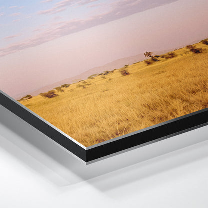 The Weightless and the Wild - Aluminium Dibond Print