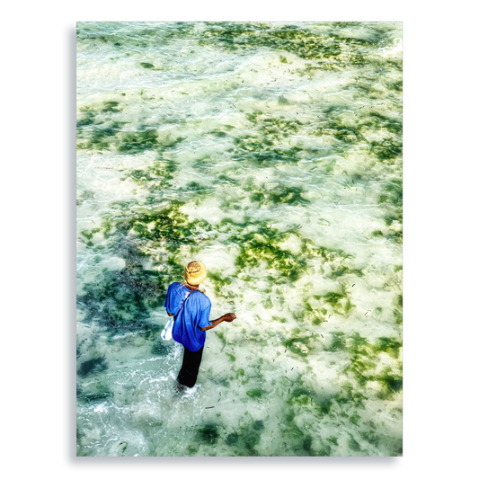 Gifts of The Tide - Aluminium Dibond Print