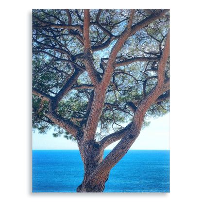 The Sentinel - Aluminium Dibond Print