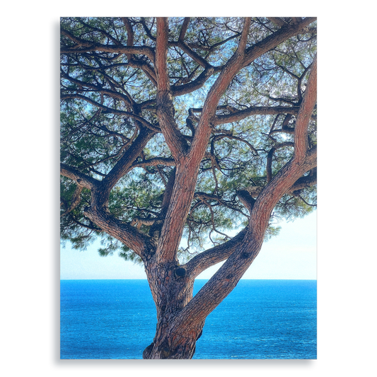 The Sentinel - Aluminium Dibond Print