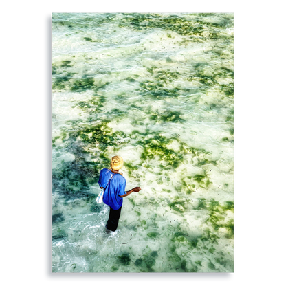 Gifts of The Tide - Aluminium Dibond Print