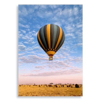 The Weightless and the Wild - Aluminium Dibond Print