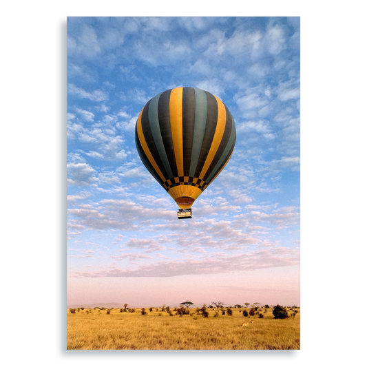 The Weightless and the Wild - Aluminium Dibond Print