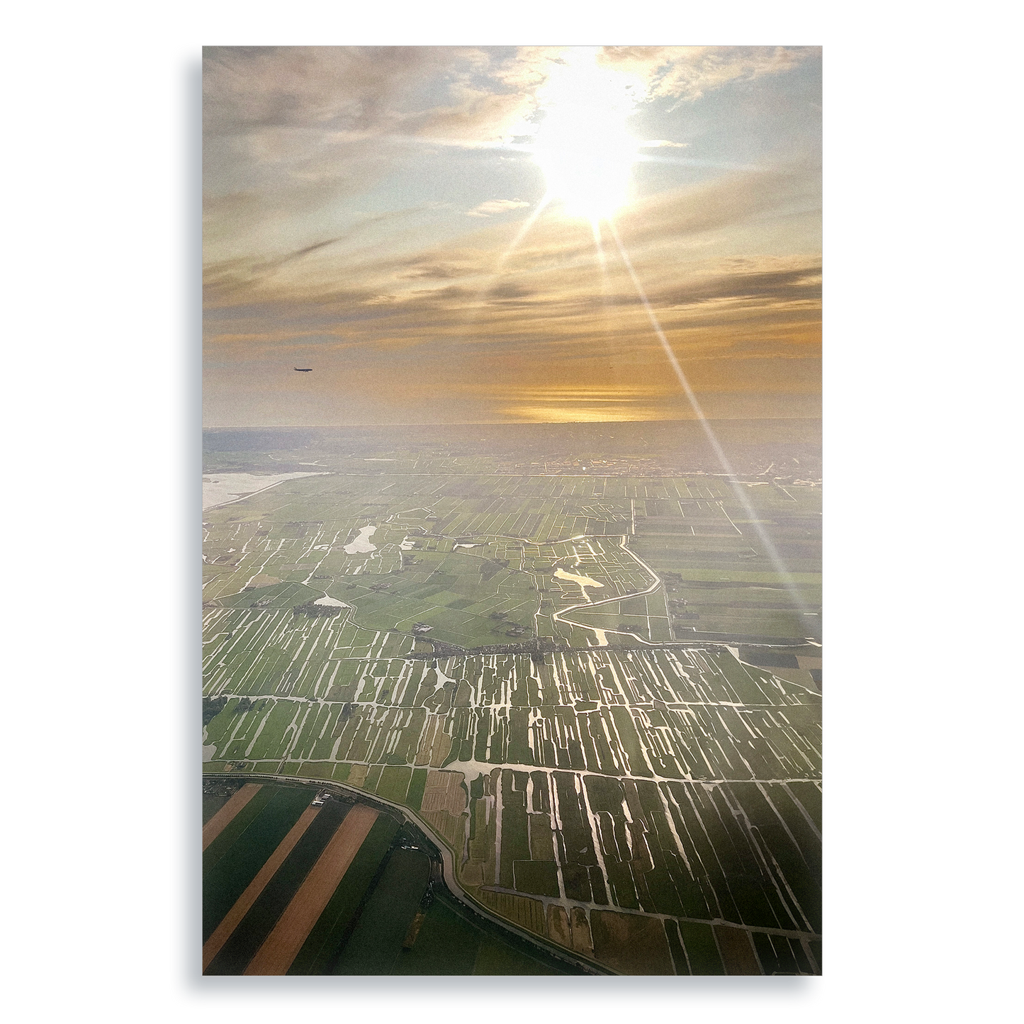 Coming Home - Aluminium Dibond Print