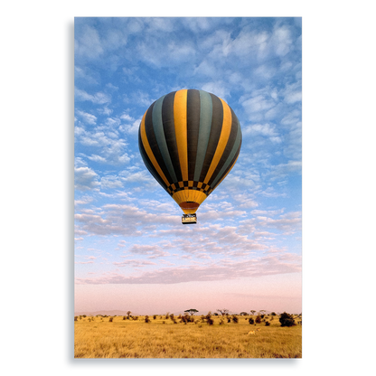 The Weightless and the Wild - Aluminium Dibond Print