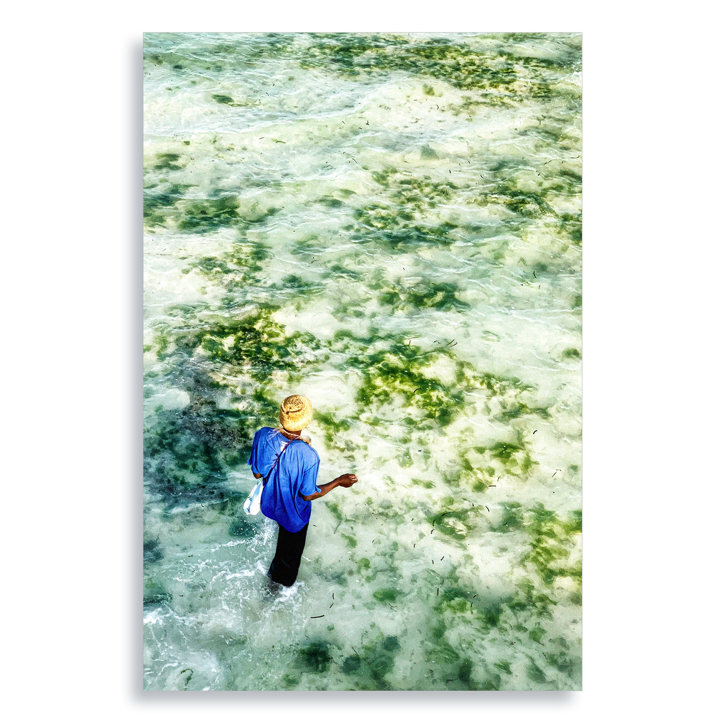 Gifts of The Tide - Aluminium Dibond Print