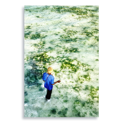 Gifts of The Tide - Aluminium Dibond Print