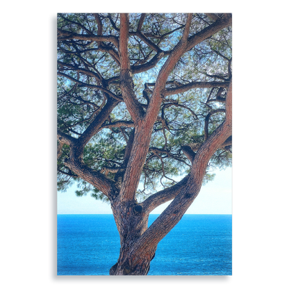 The Sentinel - Aluminium Dibond Print