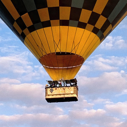 The Weightless and the Wild - Aluminium Dibond Print