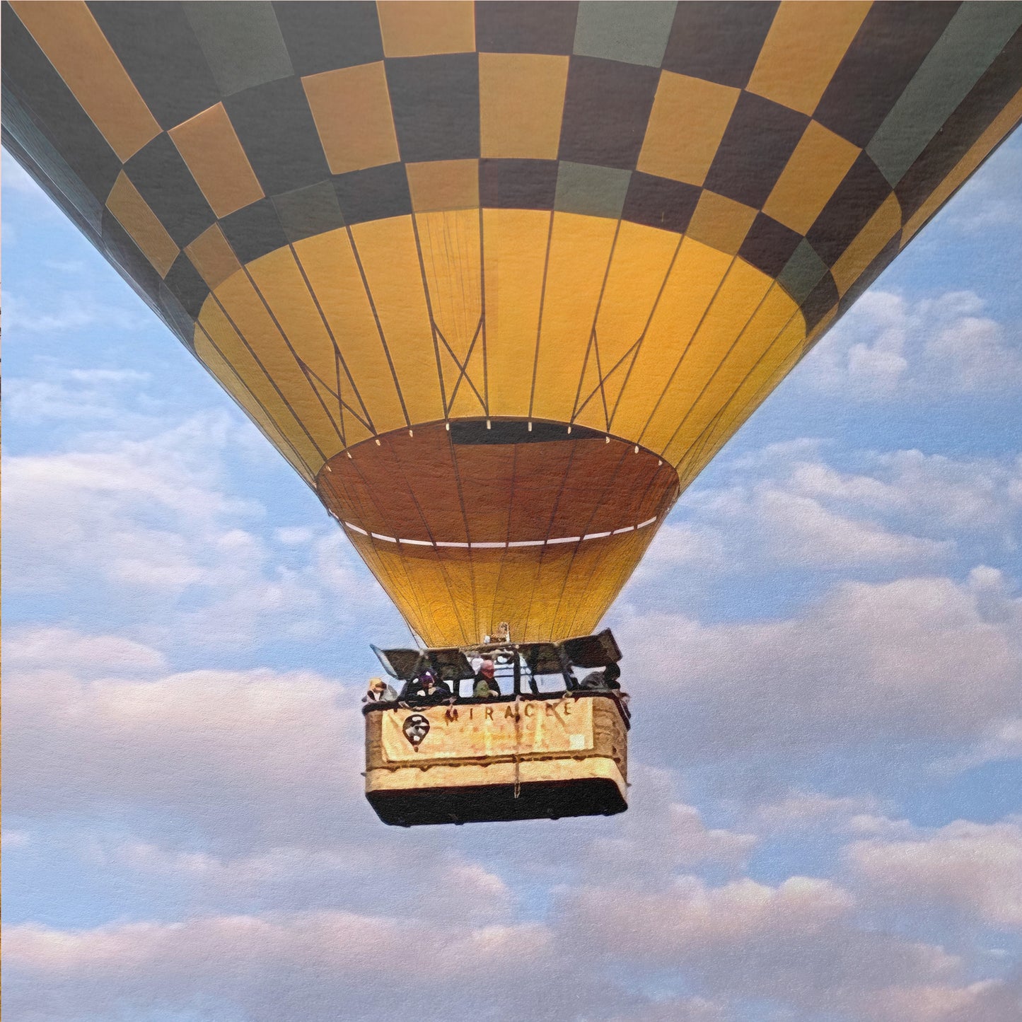 The Weightless and the Wild - Fine Art Print