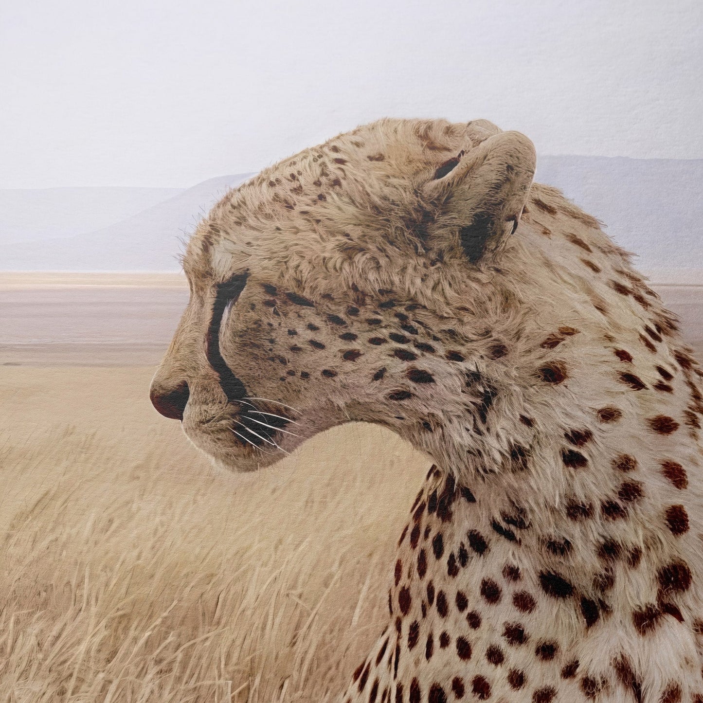 Cruel Suitor - Fine Art Print