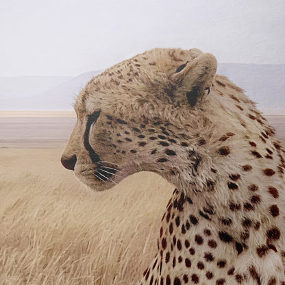 Cruel Suitor - Fine Art Print