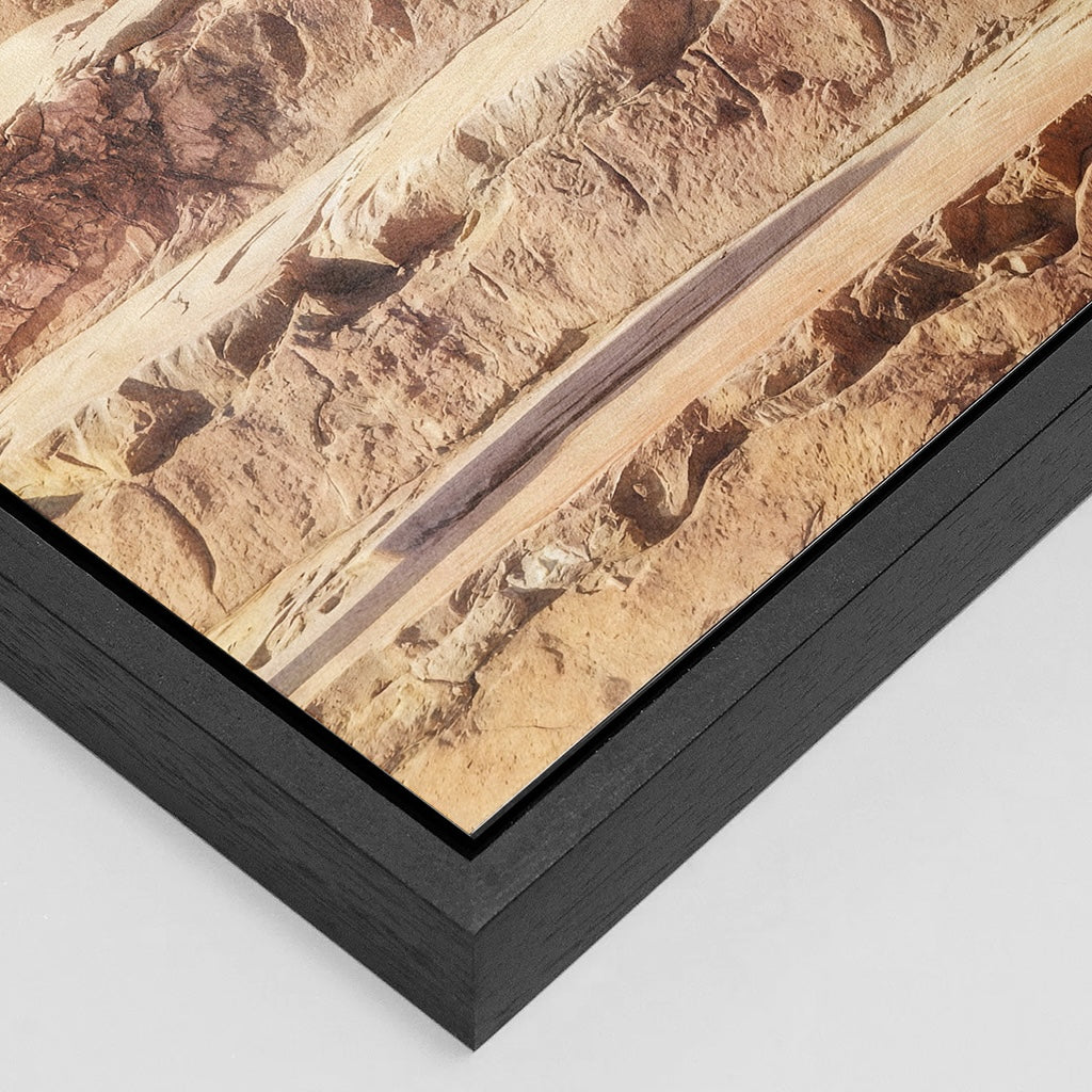 The Lady of Amber Fort - Fine Art Print in Floating Frame