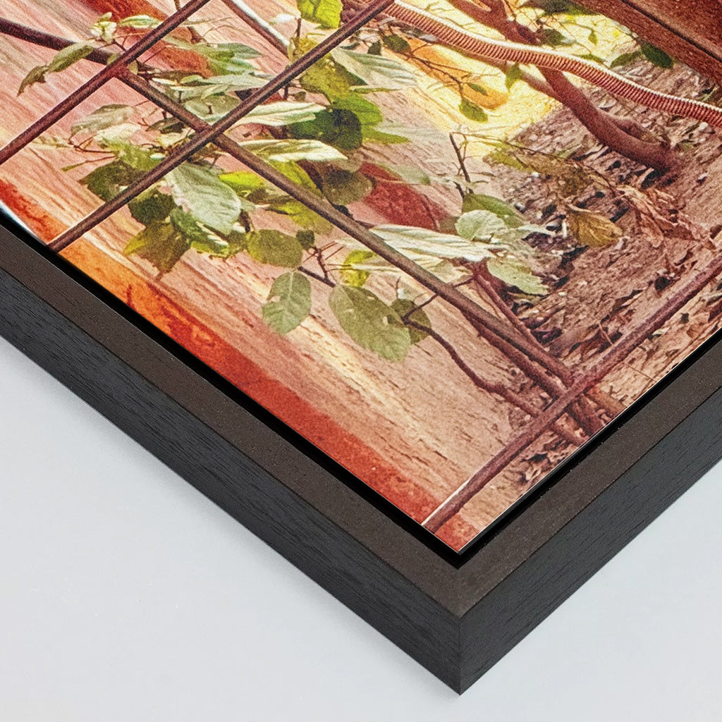 Oh, to Be a Monkey! - Fine Art Print in Floating Frame