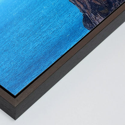 The Sentinel - Fine Art Print in Floating Frame