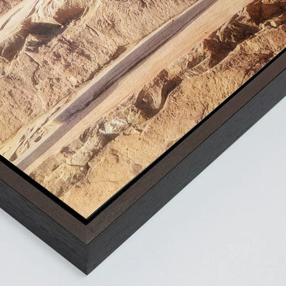 The Lady of Amber Fort - Fine Art Print in Floating Frame