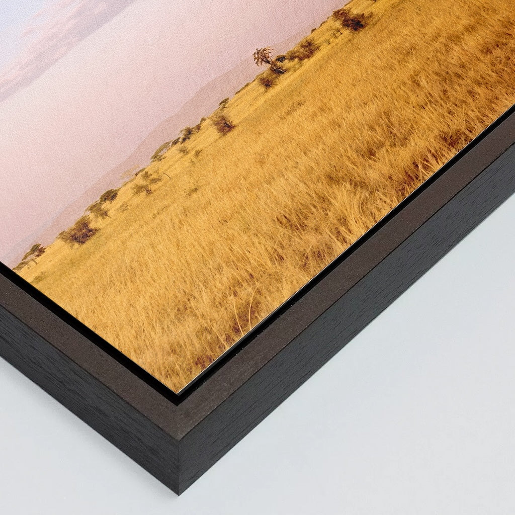 The Weightless and the Wild - Fine Art Print in Floating Frame