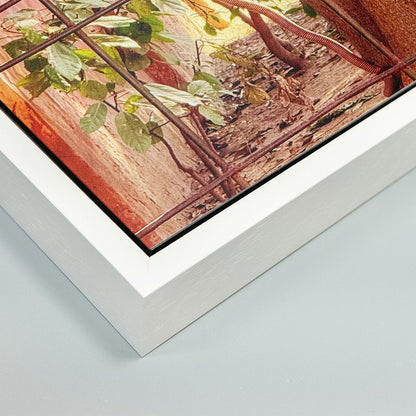 Oh, to Be a Monkey! - Fine Art Print in Floating Frame