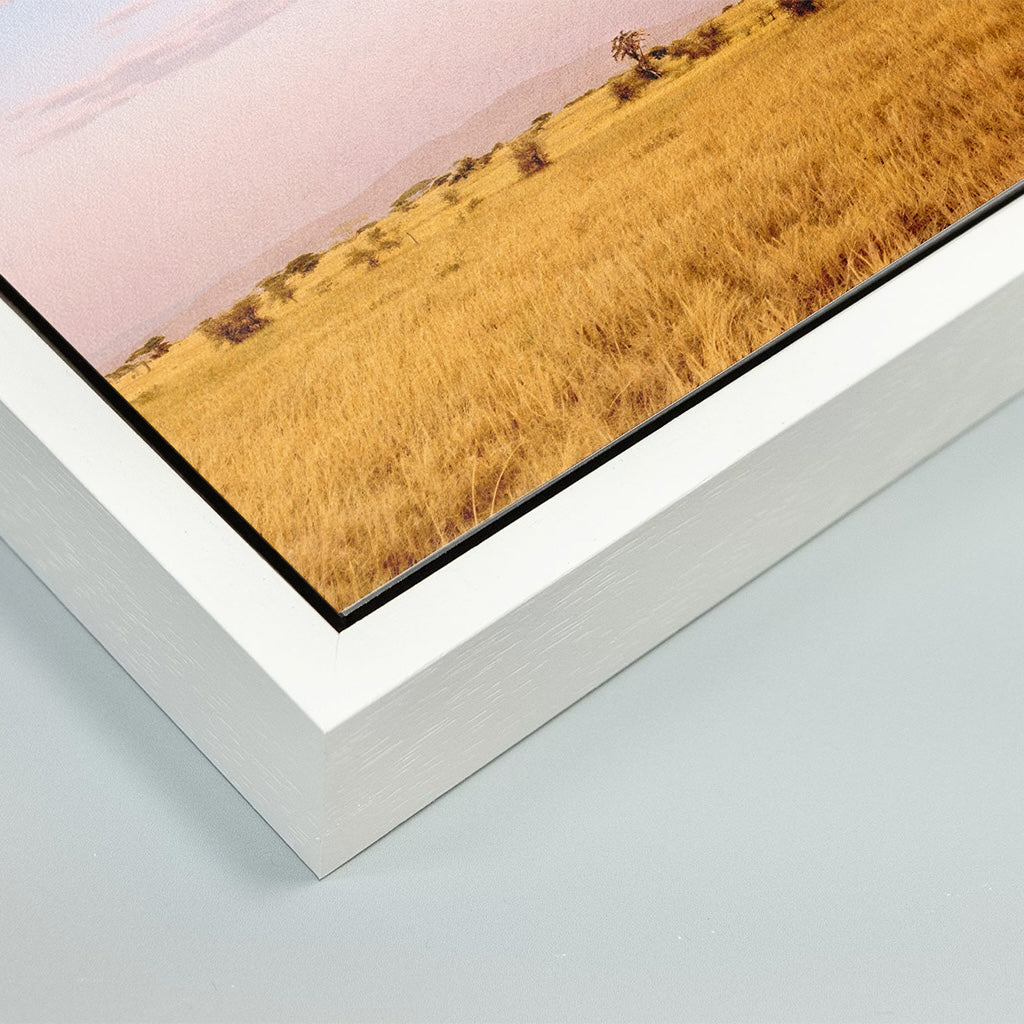 The Weightless and the Wild - Fine Art Print in Floating Frame
