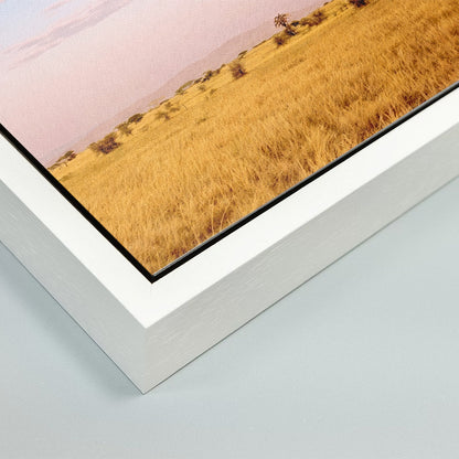 The Weightless and the Wild - Fine Art Print in Floating Frame
