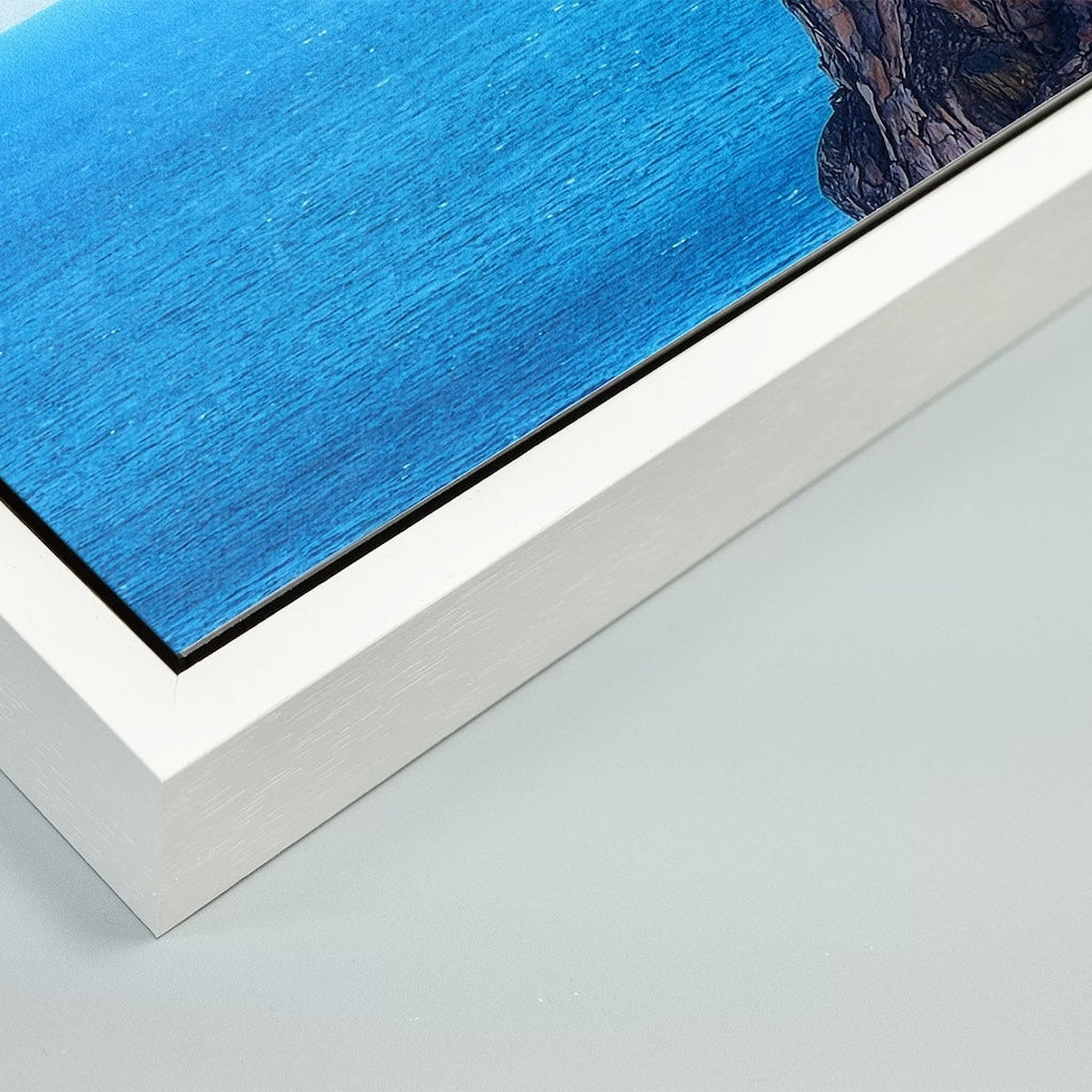 The Sentinel - Fine Art Print in Floating Frame