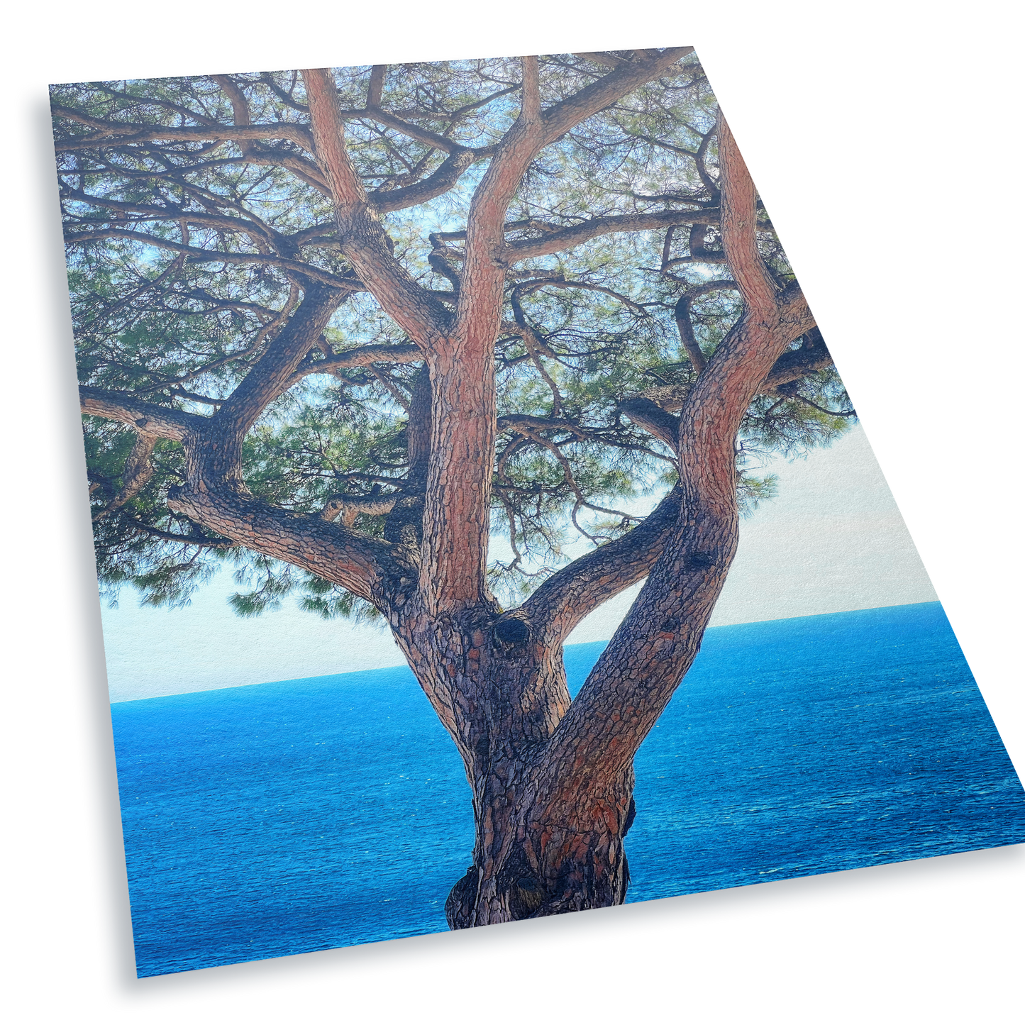 The Sentinel - Fine Art Print