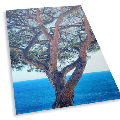 The Sentinel - Fine Art Print