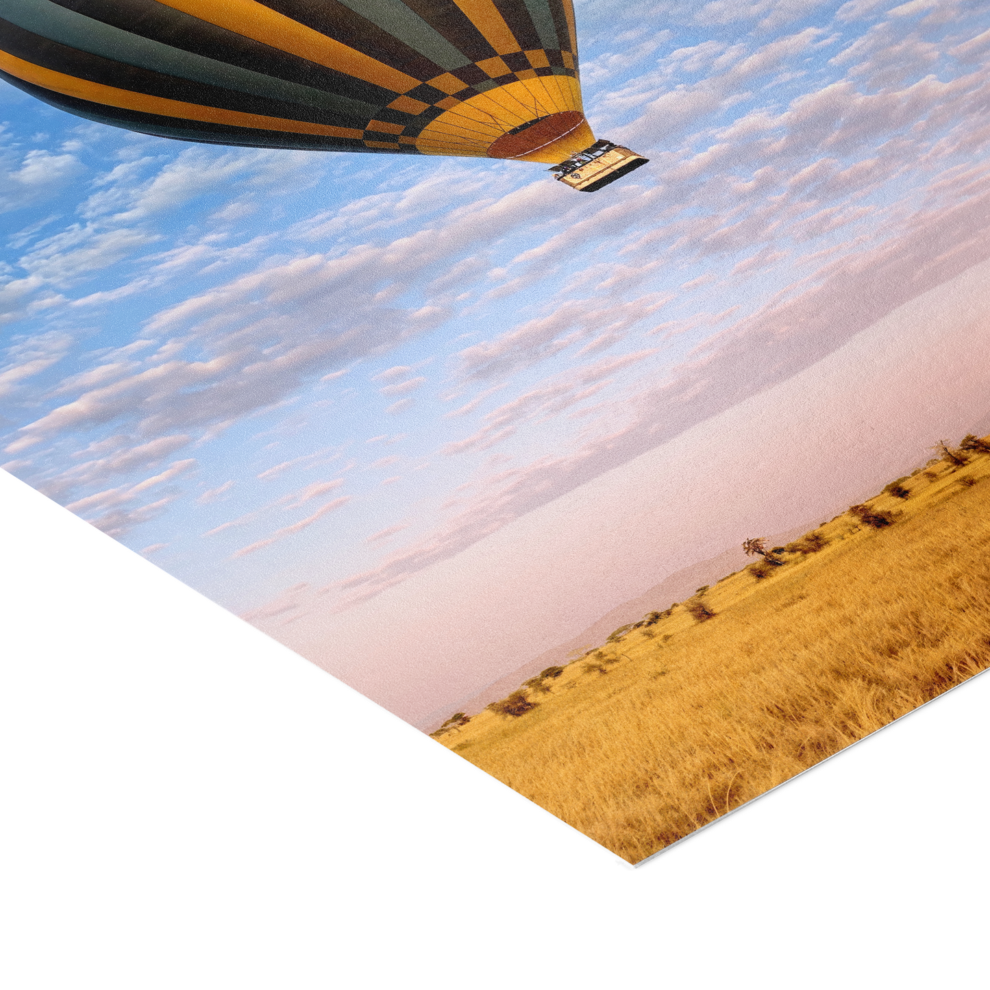 The Weightless and the Wild - Fine Art Print