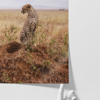 Cruel Suitor - Fine Art Print