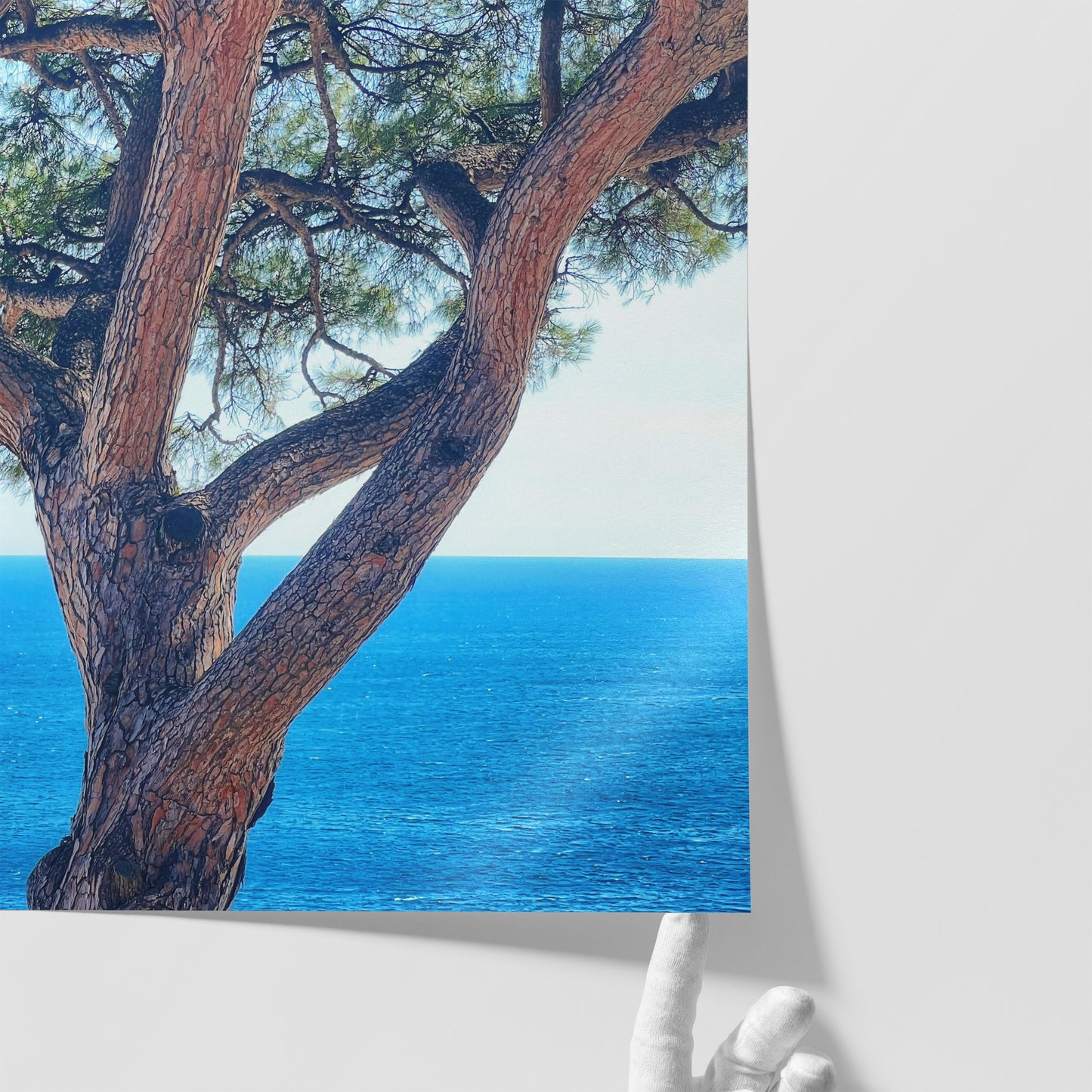 The Sentinel - Fine Art Print