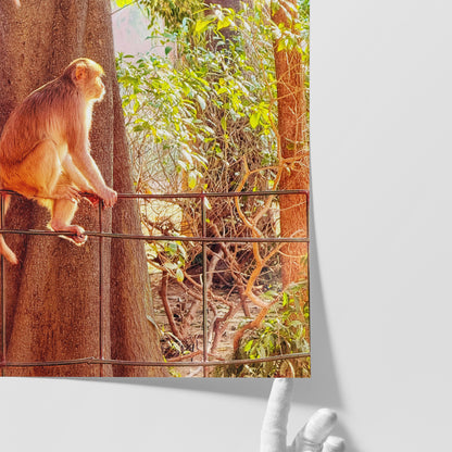 Oh, to Be a Monkey! - Fine Art Print