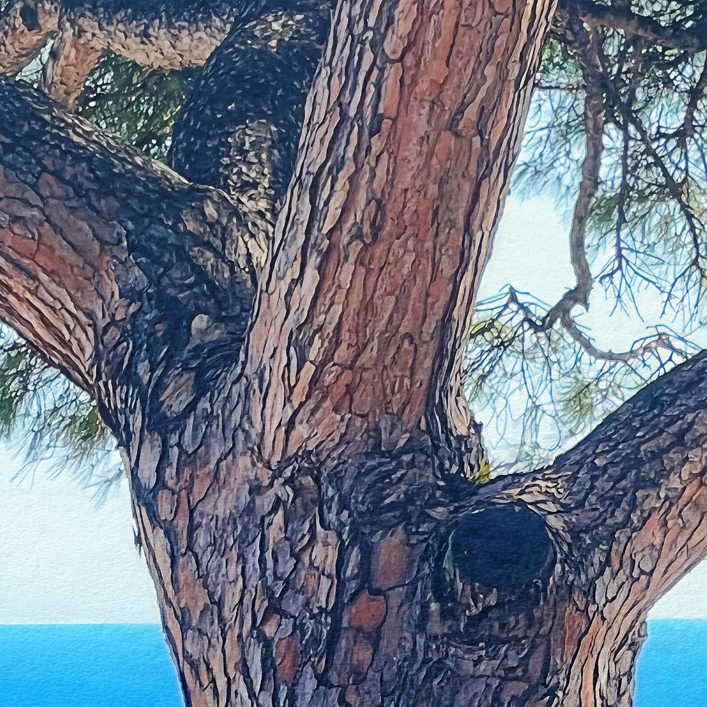 The Sentinel - Fine Art Print