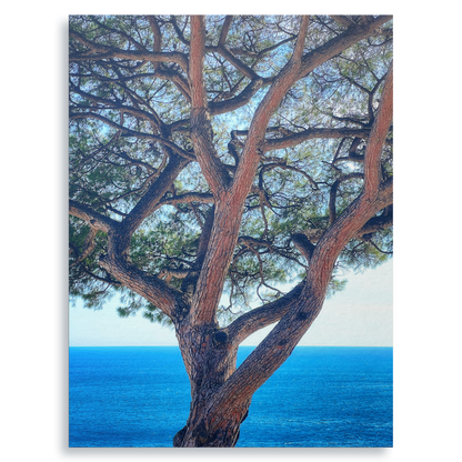 The Sentinel - Fine Art Print