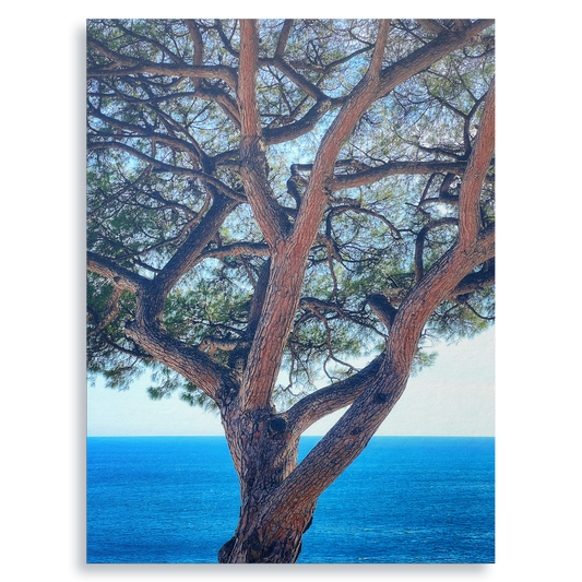 The Sentinel - Fine Art Print