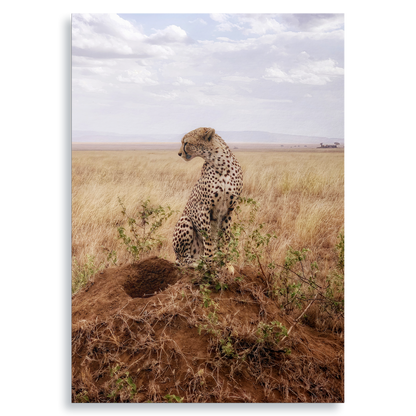 Cruel Suitor - Fine Art Print