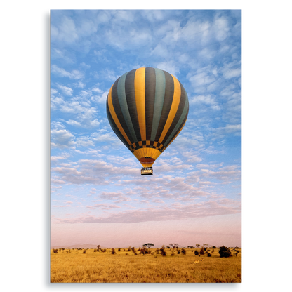 The Weightless and the Wild - Fine Art Print