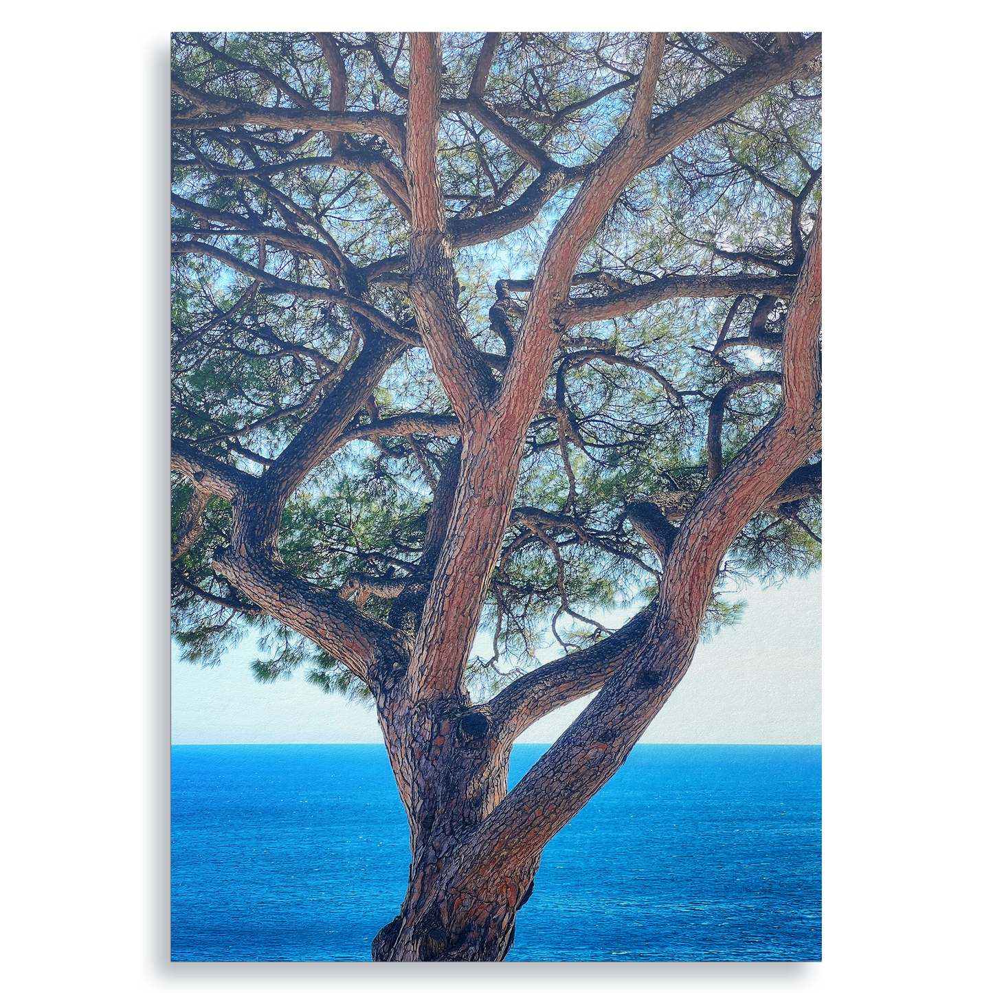The Sentinel - Fine Art Print
