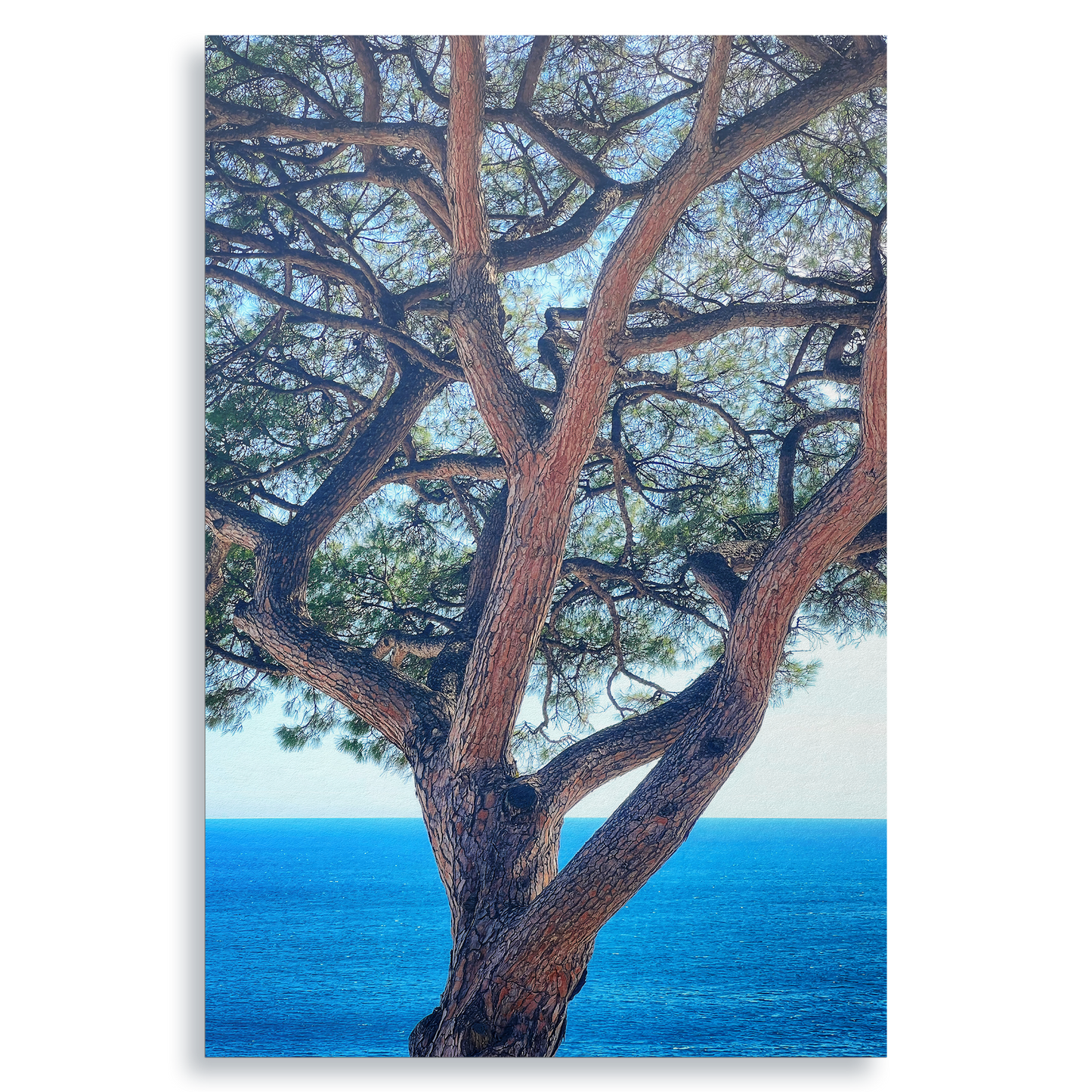 The Sentinel - Fine Art Print
